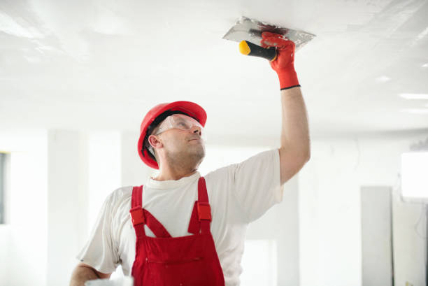 Best Drywall Texturing  in Prien, LA