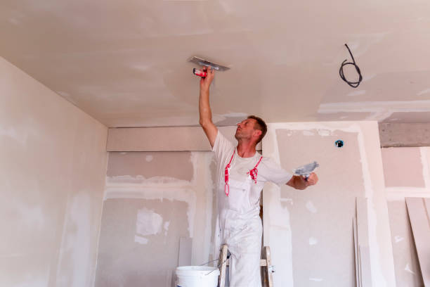 Best Repainting for Renovations  in Prien, LA